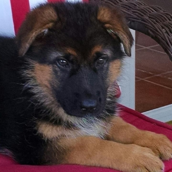 Meet your Posher, Wendy - Picture 3 of 9